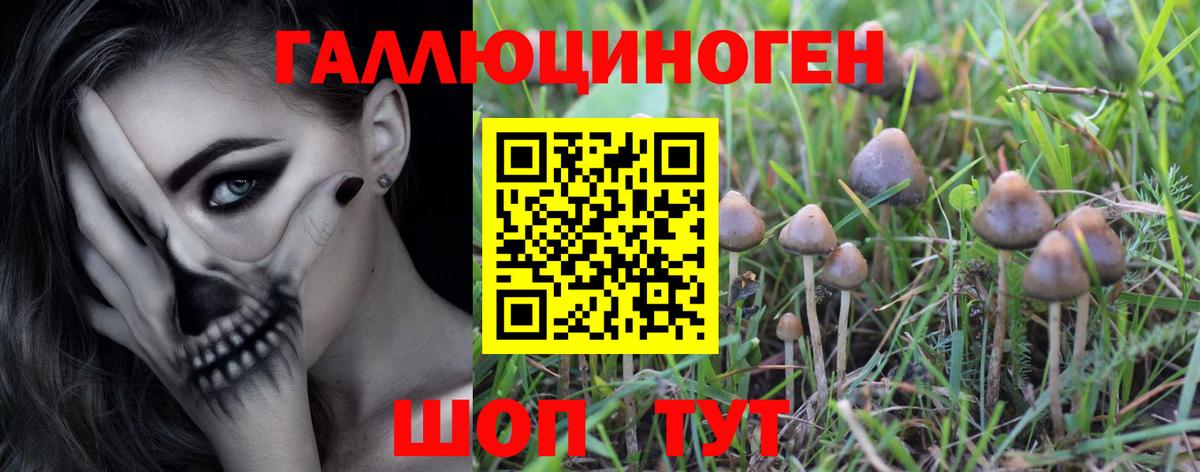 Псилоцибиновые грибы Magic Shrooms  Вход с VPN  Лянтор  как найти   Галлюциногенные грибы Psilocybine cubensis 