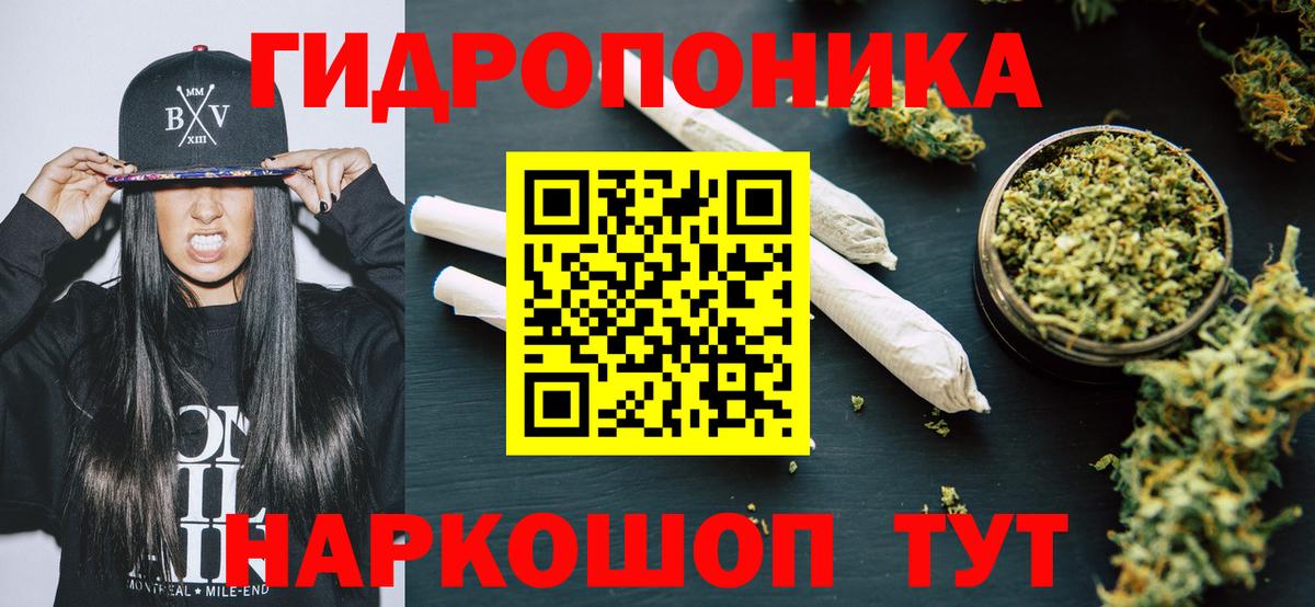 Каннабис сатива  Вход с VPN  Каннабис OG Kush  Лянтор  Каннабис White Widow  МАРИХУАНА сатива 
